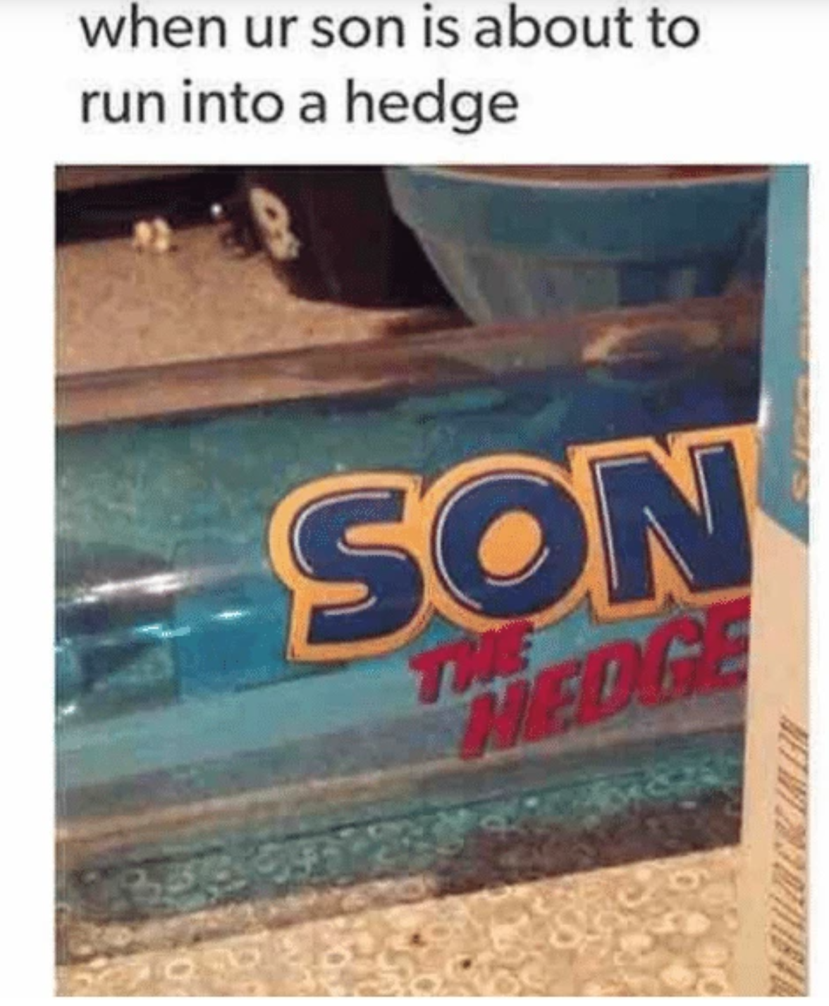 gaming memes and pics - oh no son the hedge - when ur son is about to run into a hedge Son