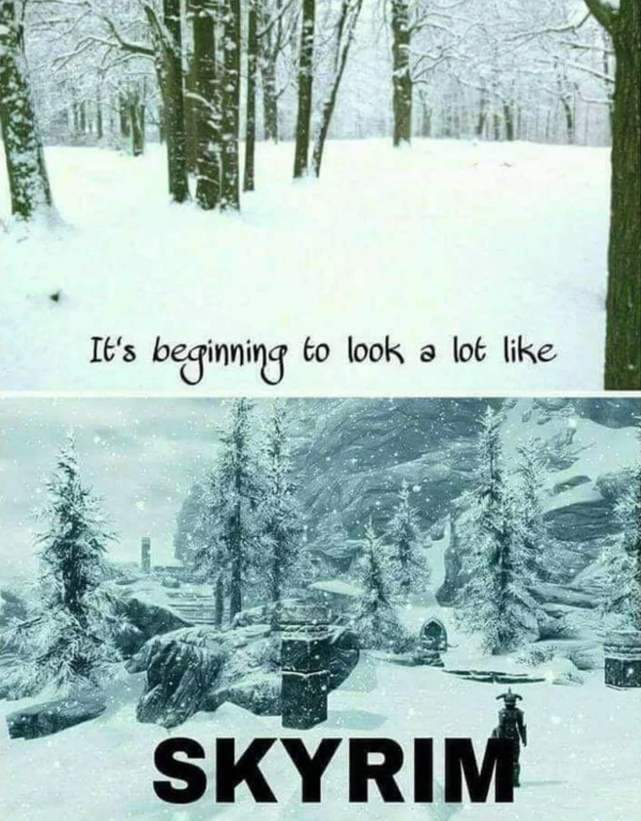 gaming memes and pics - its beginning to look a lot like skyrim - It's beginning to look a lot Skyrim
