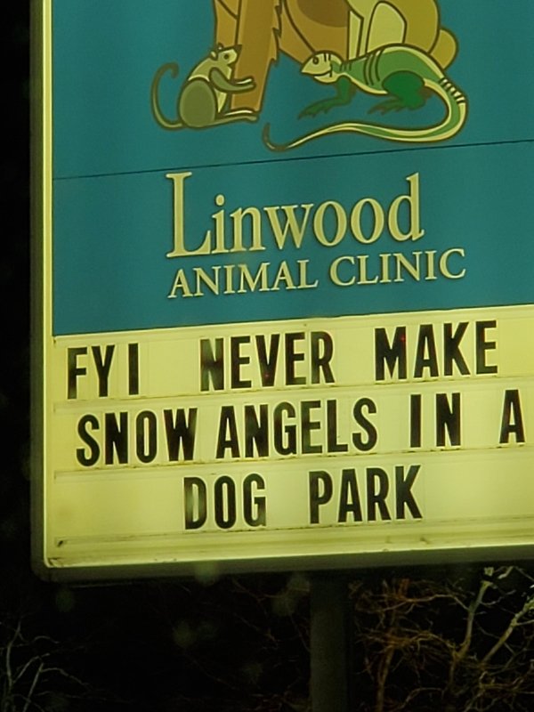 funny pics - street sign - 3 Linwood Animal Clinic Fyi Never Make Snow Angels In A Dog Park