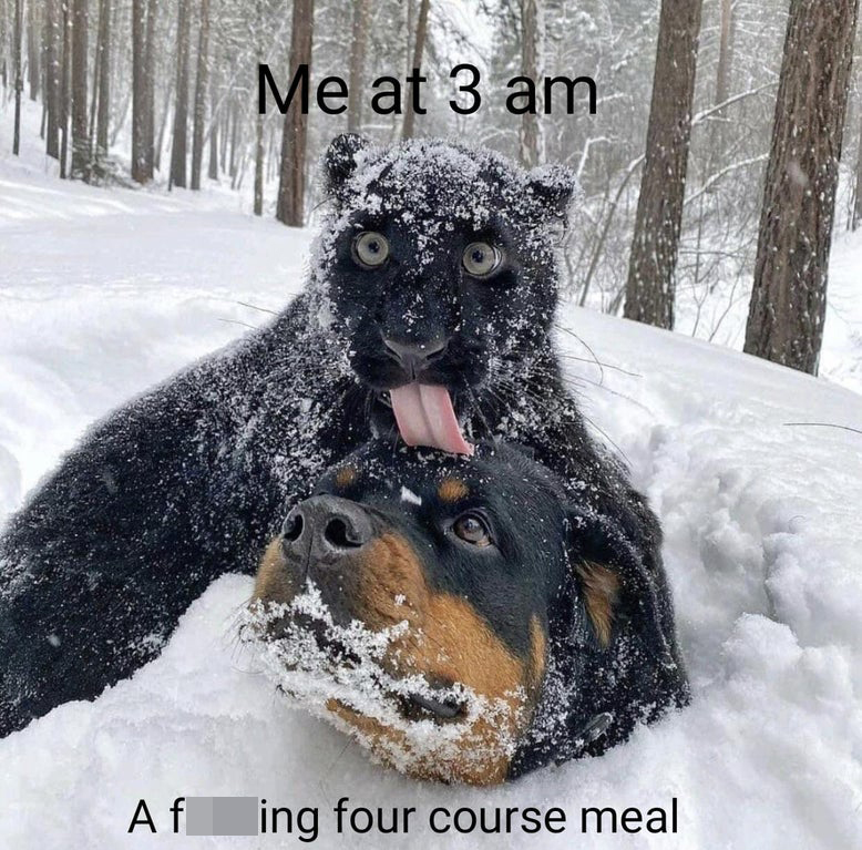 funny memes - me at 3am a fucking four course meal
