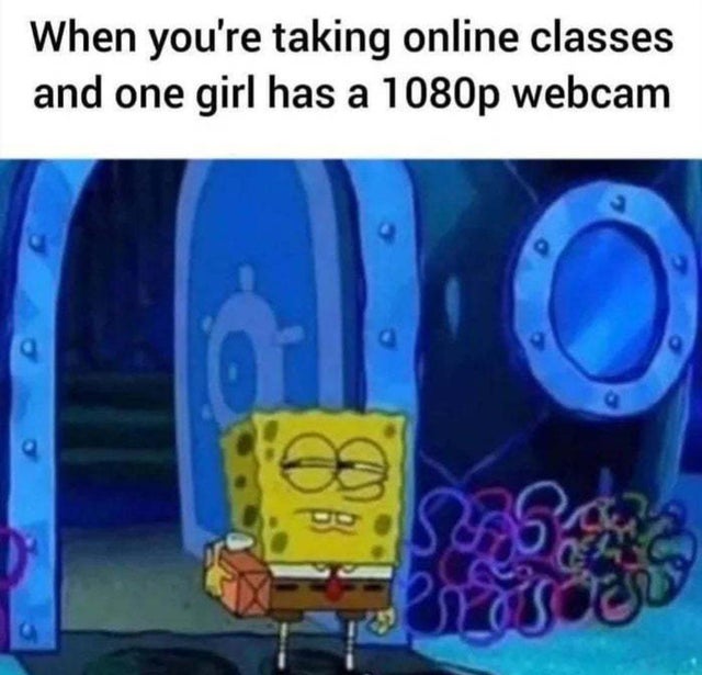 funny pics -- suspicious spongebob - When you're taking online classes and one girl has a 1080p webcam