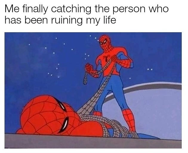 funny memes - old spiderman memes - Me finally catching the person who has been ruining my life