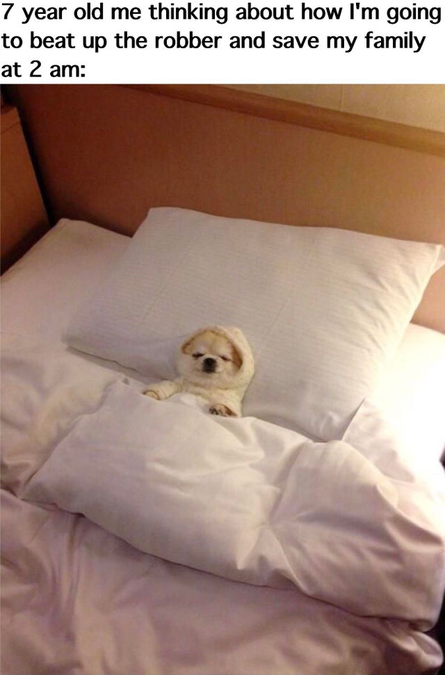 funny memes - tucked in puppy - 7 year old me thinking about how I'm going to beat up the robber and save my family at 2 am
