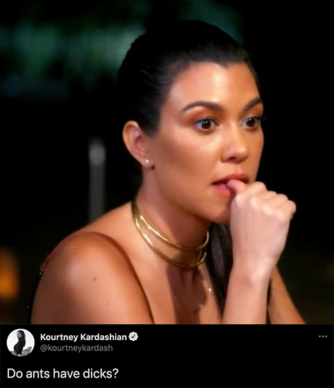 funny celebrity tweets - Kourtney Kardashian Do ants have dicks?