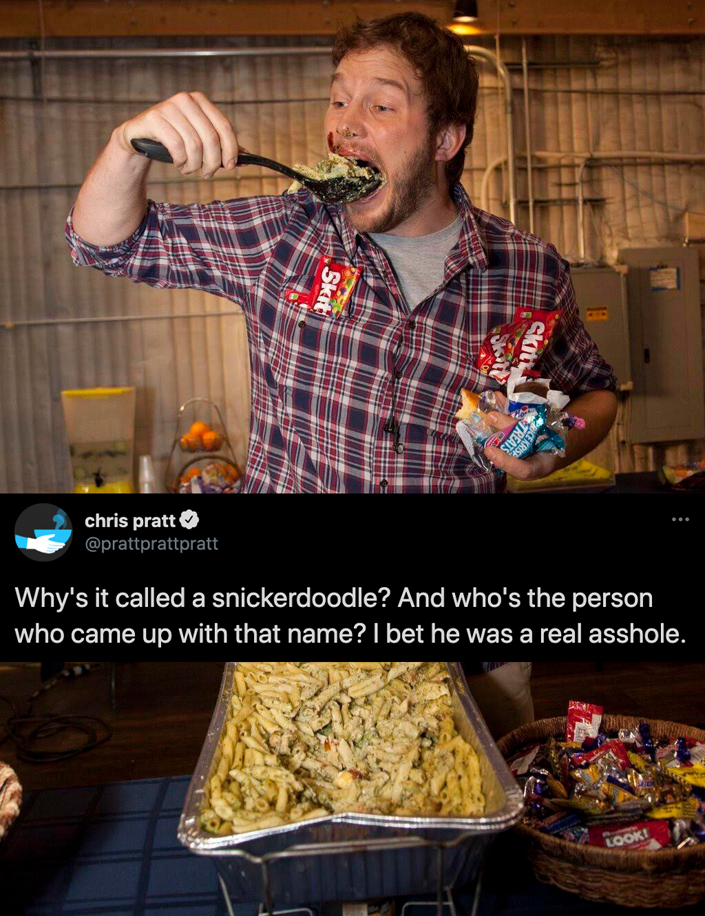 funny celebrity tweets - chris pratt Why's it called a snickerdoodle? And who's the person who came up with that name? I bet he was a real asshole.