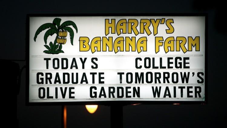 oriole park at camden yards - Harry'S Banana Farm Todays College Graduate Tomorrow'S Olive Garden Waiter