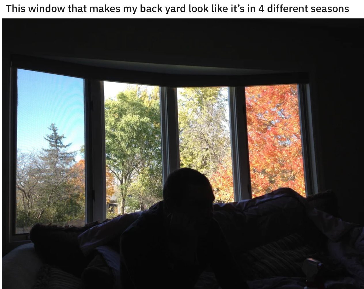 cool and funny pics - This window that makes my back yard look it's in 4 different seasons