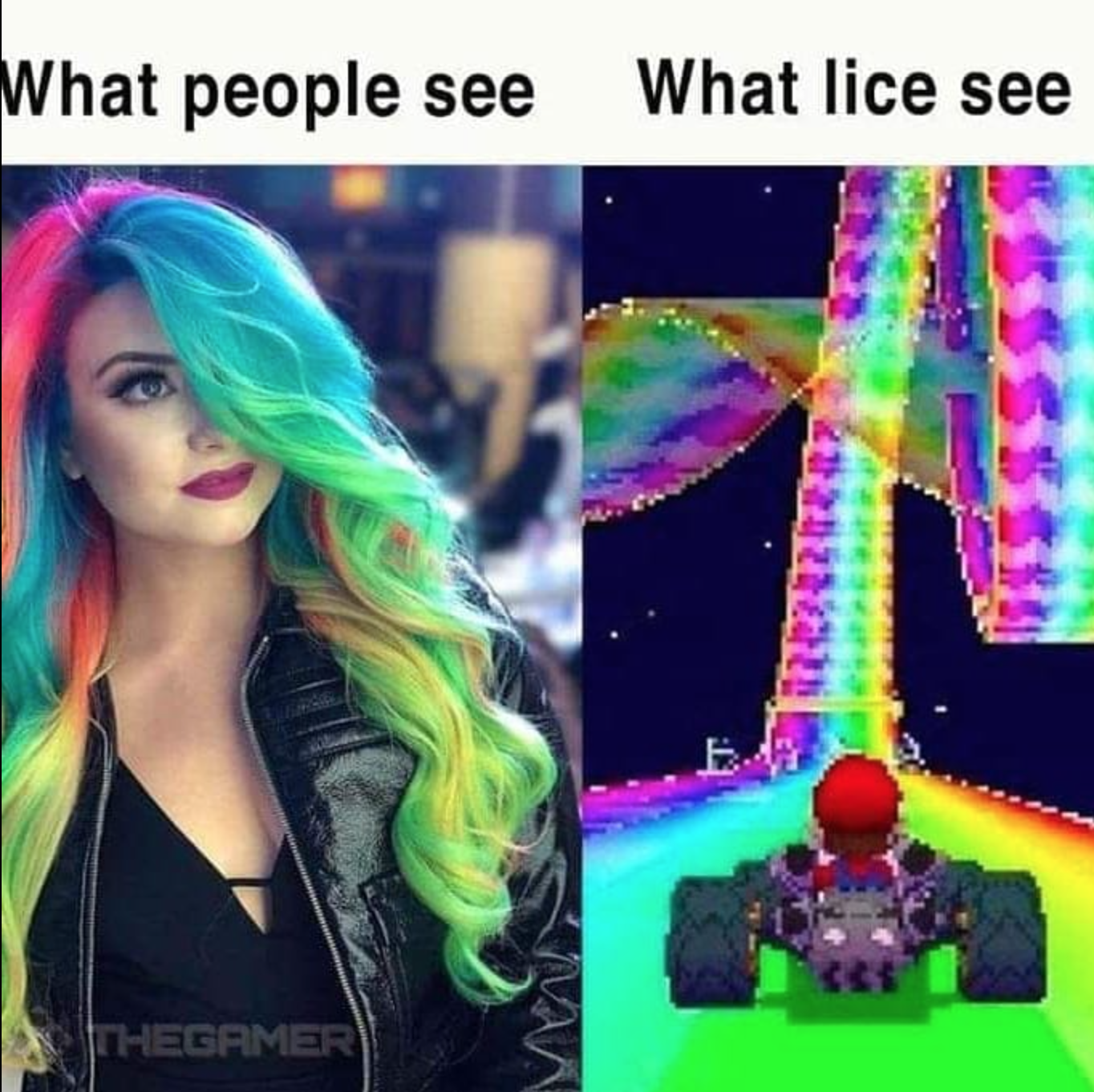 video game memes - mario kart memes - What people see What lice see Chegamer