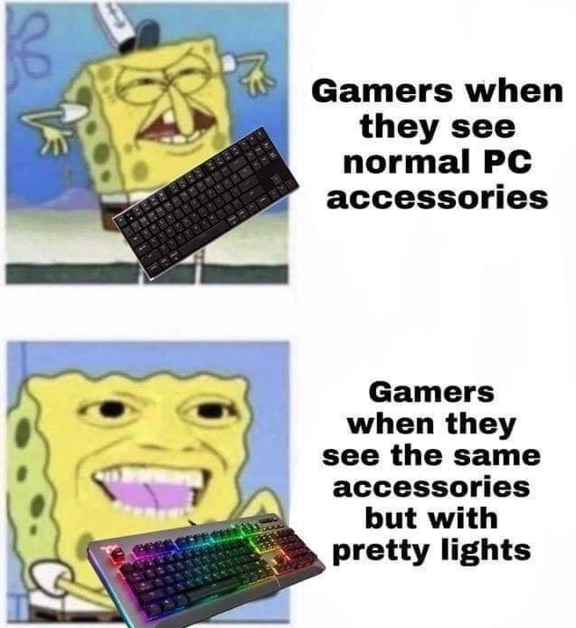 gaming memes - tourists when they see a beggar - Gamers when they see normal Pc accessories Gamers when they see the same accessories but with pretty lights