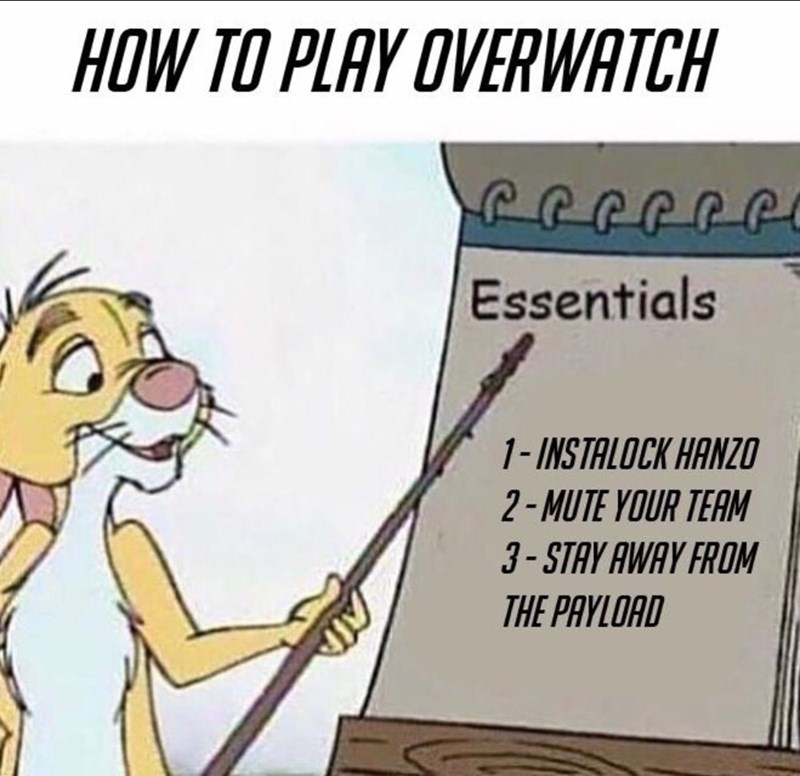 gaming memes - play overwatch meme - How To Play Overwatch repere Essentials 1 Instalock Hanzo 2Mute Your Team 3 Stay Away From The Payload