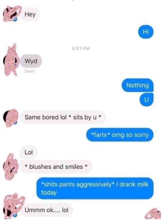 funny dumb comments - Hey Hi Wyd Nothing Same bored lol sits by u farts omg so sorry Lol blushes and smiles shits pants aggressively I drank milk today Ummm ok.... lol