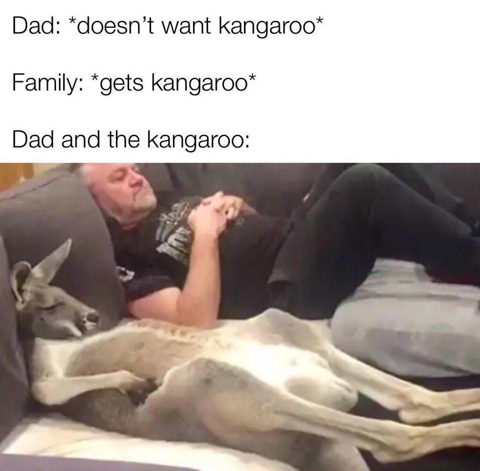 funny memes -- Dad doesn't want kangaroo Family gets kangaroo Dad and the kangaroo