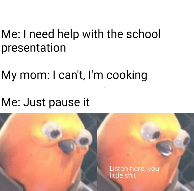 gaming memes - listen here you little meme - Me I need help with the school presentation My mom I can't, I'm cooking Me Just pause it Listen here, you little shit