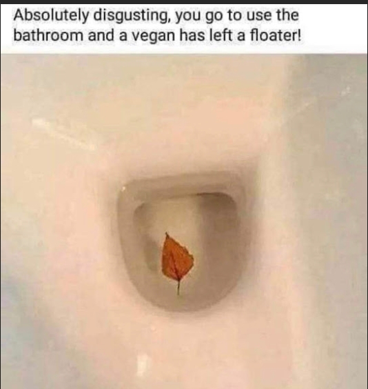funny memes - Absolutely disgusting, you go to use the bathroom and a vegan has left a floater!