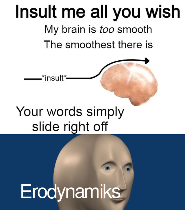 funny memes - Insult me all you wish My brain is too smooth The smoothest there is insult Your words simply slide right off Erodynamiks