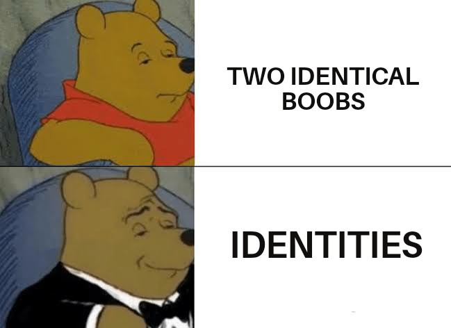 funny memes - winnie the pooh meme - Two Identical Boobs Identities