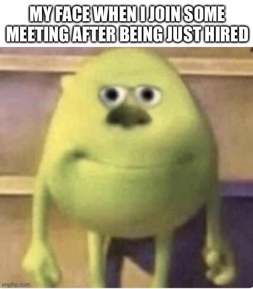 photo caption - My Face When I Join Some Meeting After Being Just Hired imgflip.com