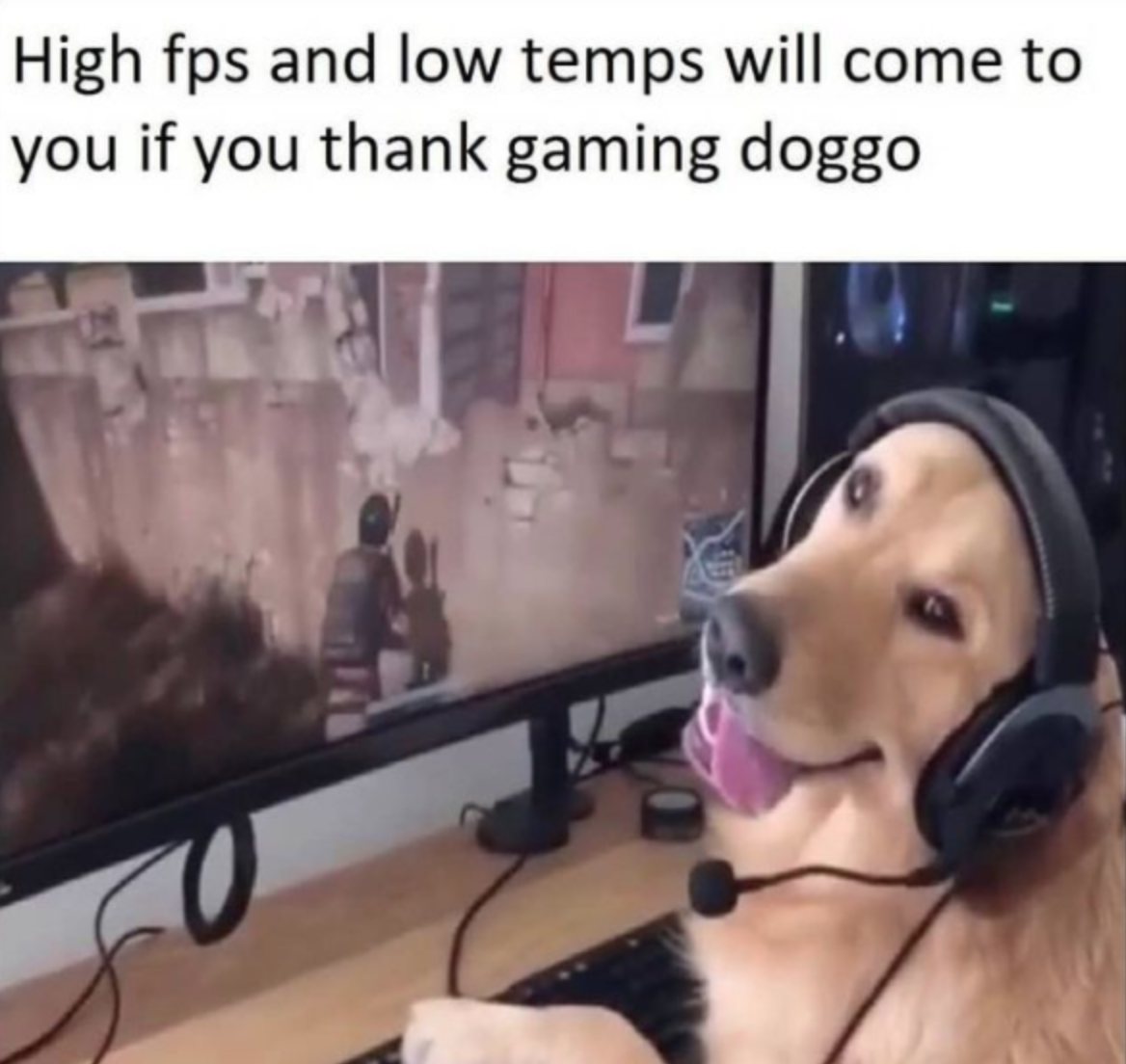 funny gaming memes - thank gaming doggo - High fps and low temps will come to you if you thank gaming doggo