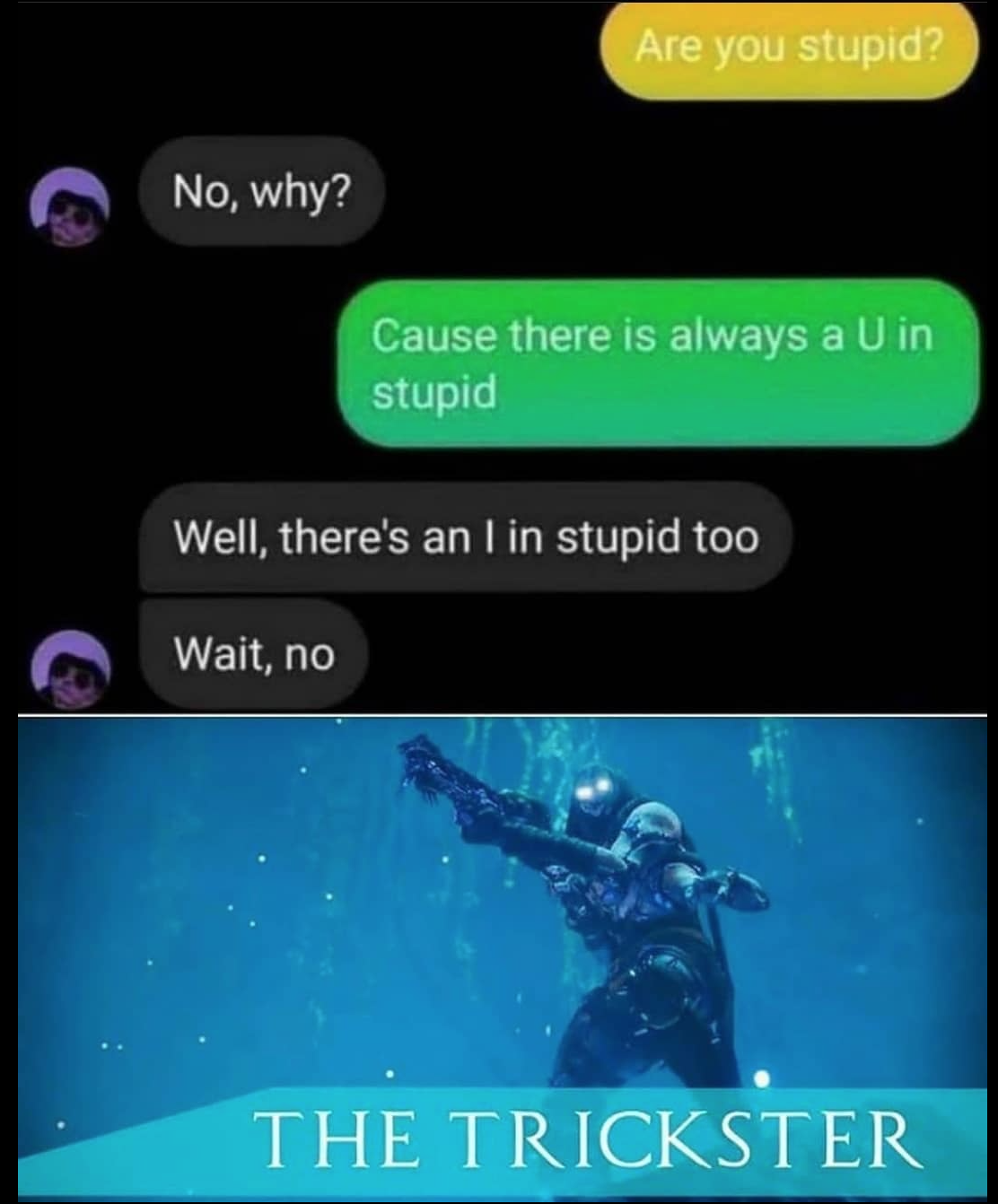 funny gaming memes - water - Are you stupid? No, why? Cause there is always a U in stupid Well, there's an I in stupid too Wait, no The Trickster