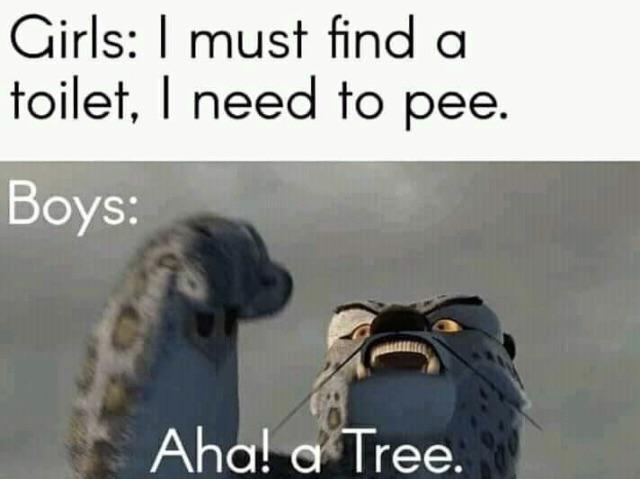 funny memes - Girls I must find a toilet, I need to pee. Boys Aha! a Tree.