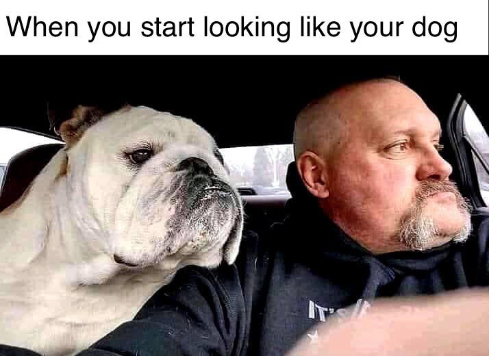 funny memes - When you start looking like your dog
