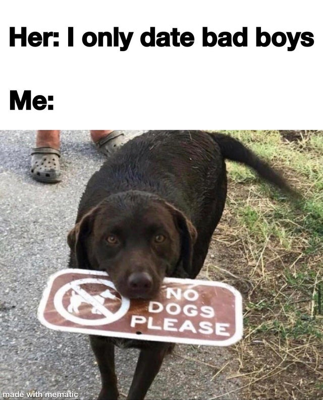 funny memes - Her I only date bad boys Me No Dogs Please