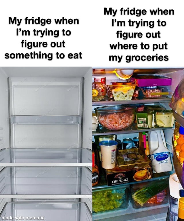 funny memes - My fridge when I'm trying to figure out something to eat My fridge when I'm trying to figure out where to put my groceries