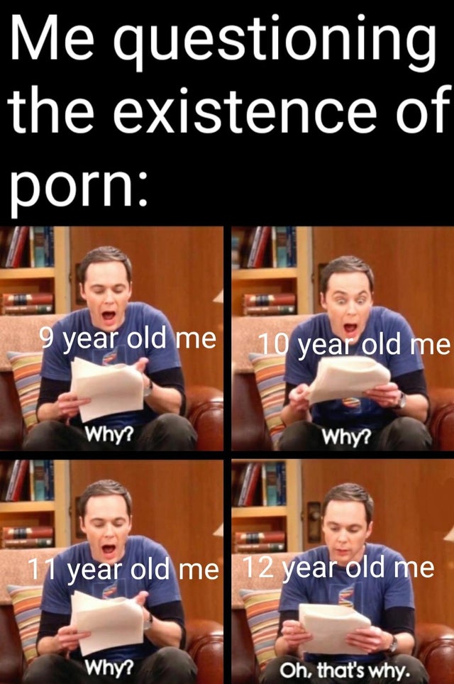 funny memes - Me questioning the existence of porn 9 year old me 10 year old me Why? Why? 11 year old me 12 year old me Why? Oh, that's why.