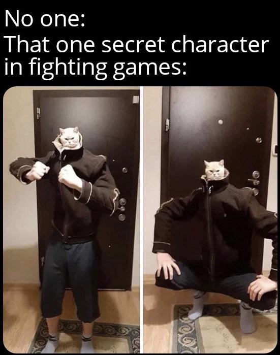 funny memes - No one That one secret character in fighting games