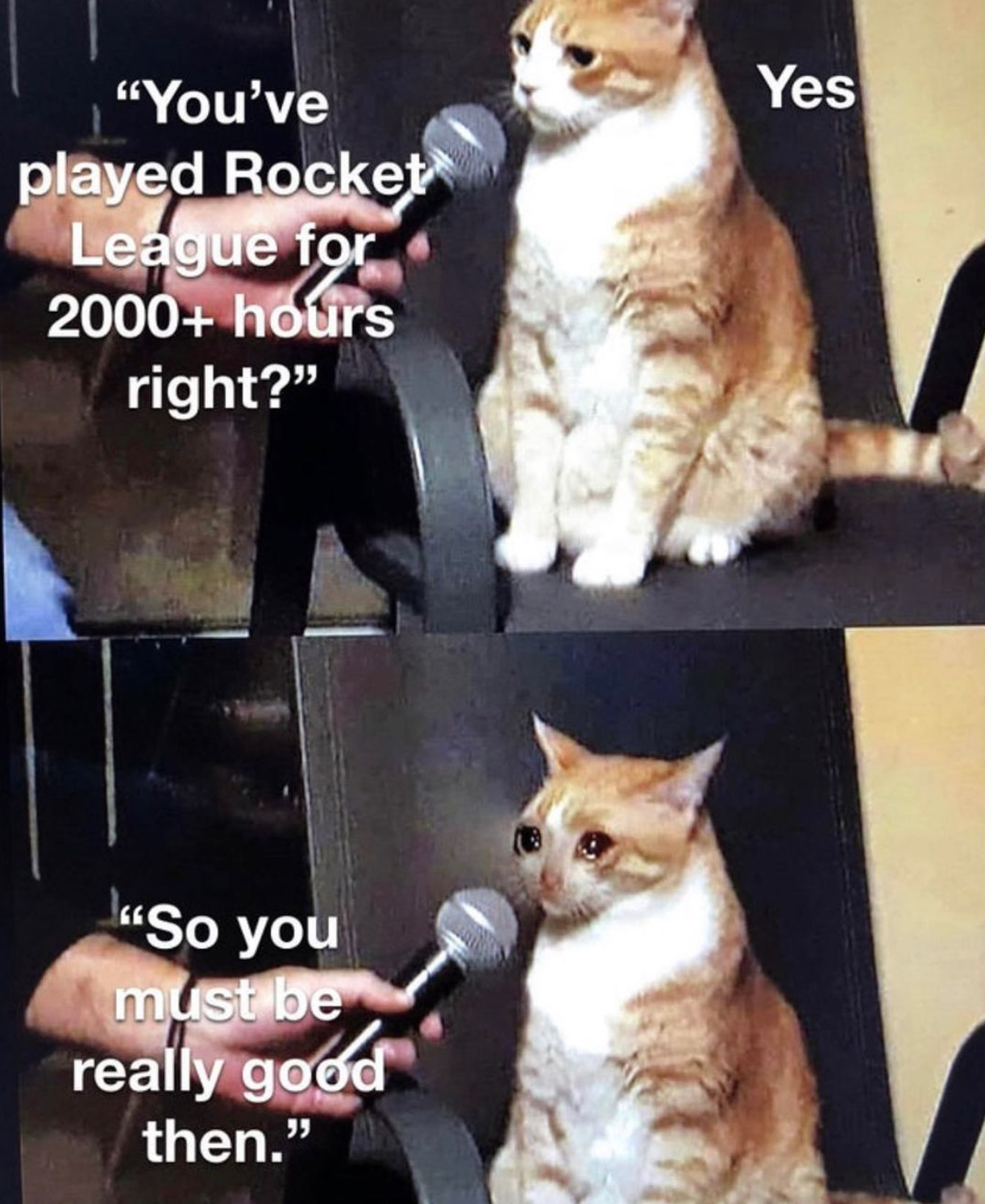 gaming memes - 2019 crying cat meme - Yes