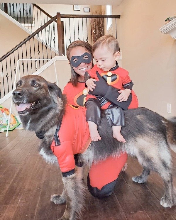 awesome parents - dog