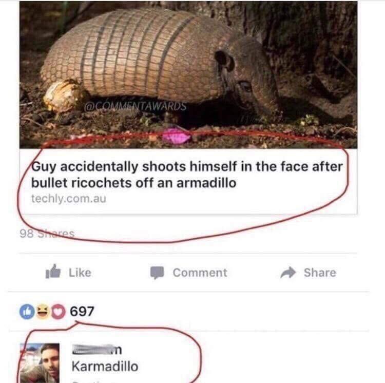 karmadillo meme - Guy accidentally shoots himself in the face after bullet ricochets off an armadillo