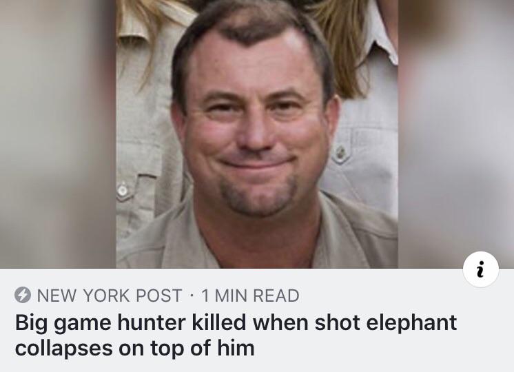 Big game hunter killed when shot elephant collapses on top of him