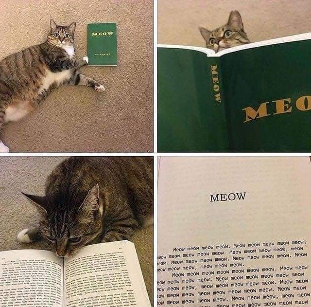 funny pics - meow meow meow book meme
