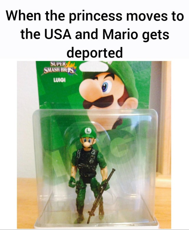 funny memes - super smash bros luigi amiibo - When the princess moves to the Usa and Mario gets deported