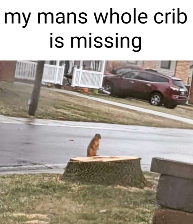 funny memes - my mans whole crib is missing