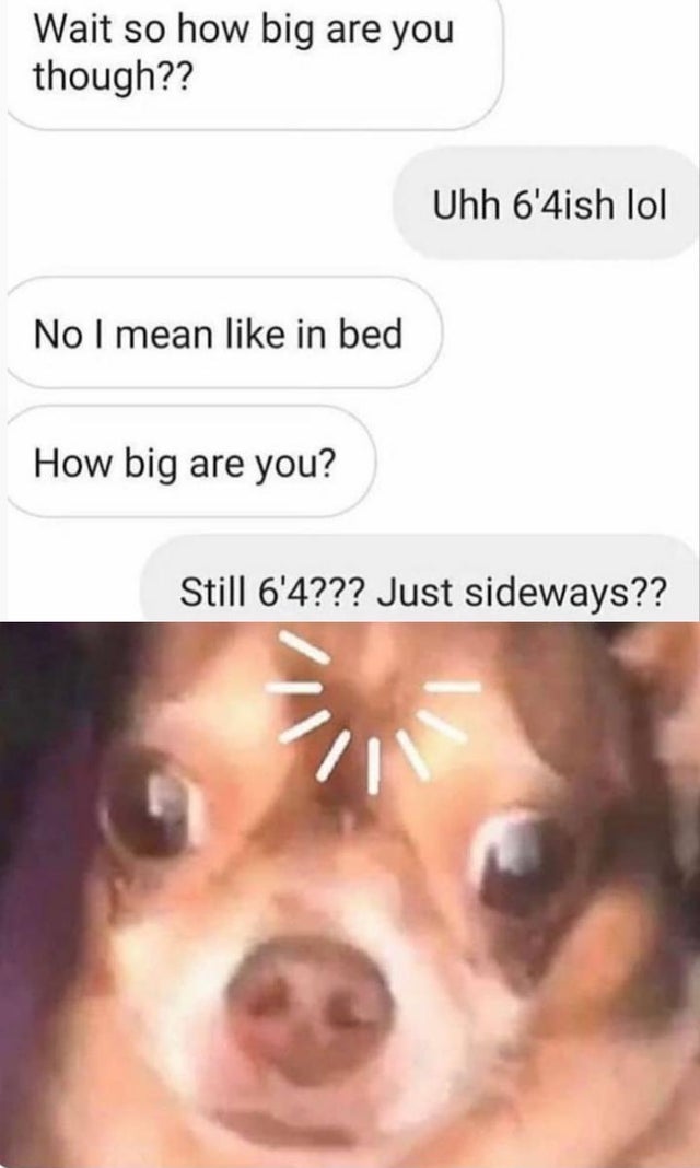 funny memes - Wait so how big are you though?? Uhh 6'4ish lol No I mean in bed How big are you? Still 6'4??? Just sideways??