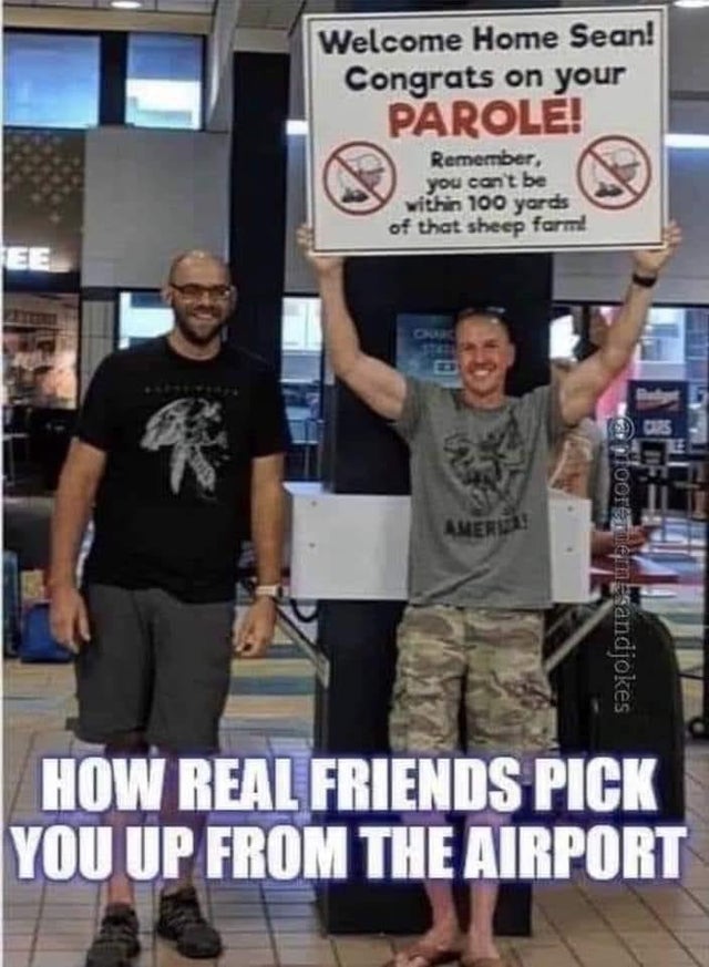 funny memes - Welcome Home Sean! Congrats on your Parole! Remember, you can't be within 100 yards of that sheep farm - How Real Friends Pick You Up From The Airport
