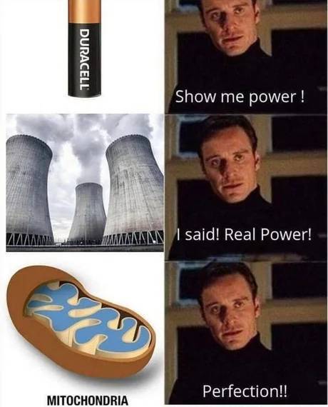 awesome pics - memes on biology students - Duracell Show me power! Wamaaann I said! Real Power! Perfection!! Mitochondria