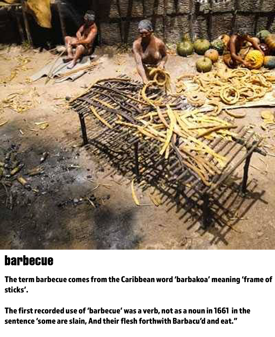 fun word origins history facts - The term barbecue comes from the Caribbean word 'barbakoa' meaning frame of sticks'. The first recorded use of barbecue' was a verb, not as a noun in 1661 in the sentence 'some are slain, And their flesh forthwith Barbacu'