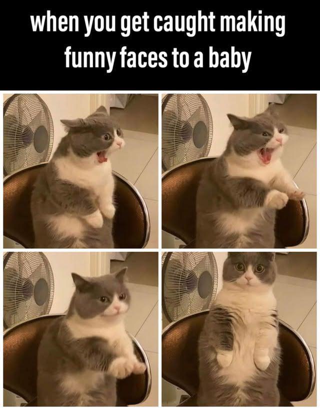 wholesome-pics-and-memes when you get caught making funny faces to a baby