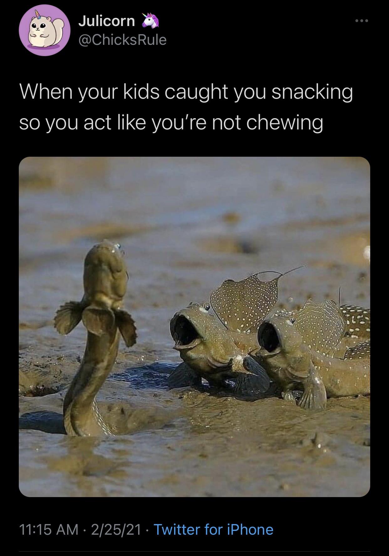 awesome pics and funny memes - impressed mudskippers - Julicorn When your kids caught you snacking so you act you're not chewing 22521 Twitter for iPhone