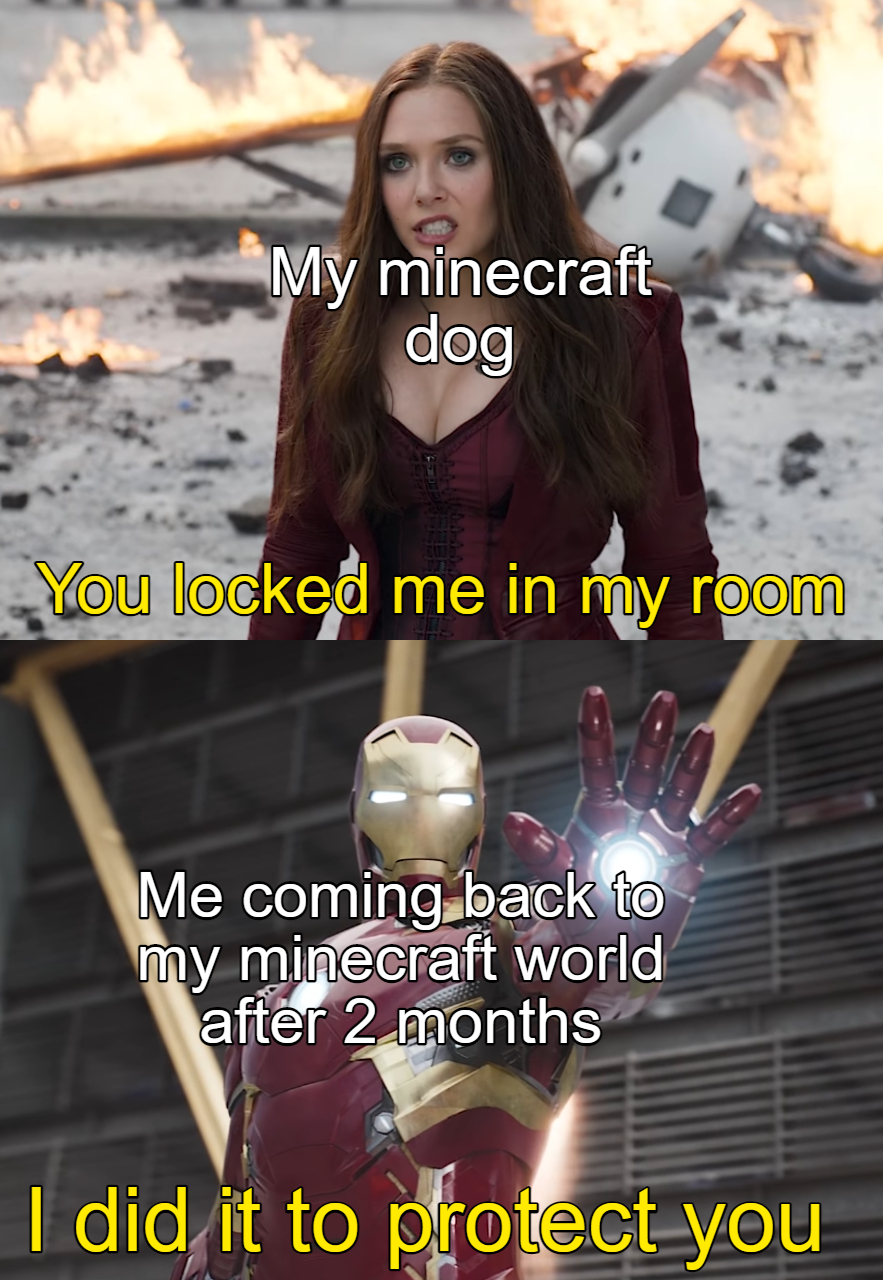 awesome pics and funny memes - photo caption - My minecraft dog You locked me in my room Me coming back to my minecraft world after 2 months I did it to protect you
