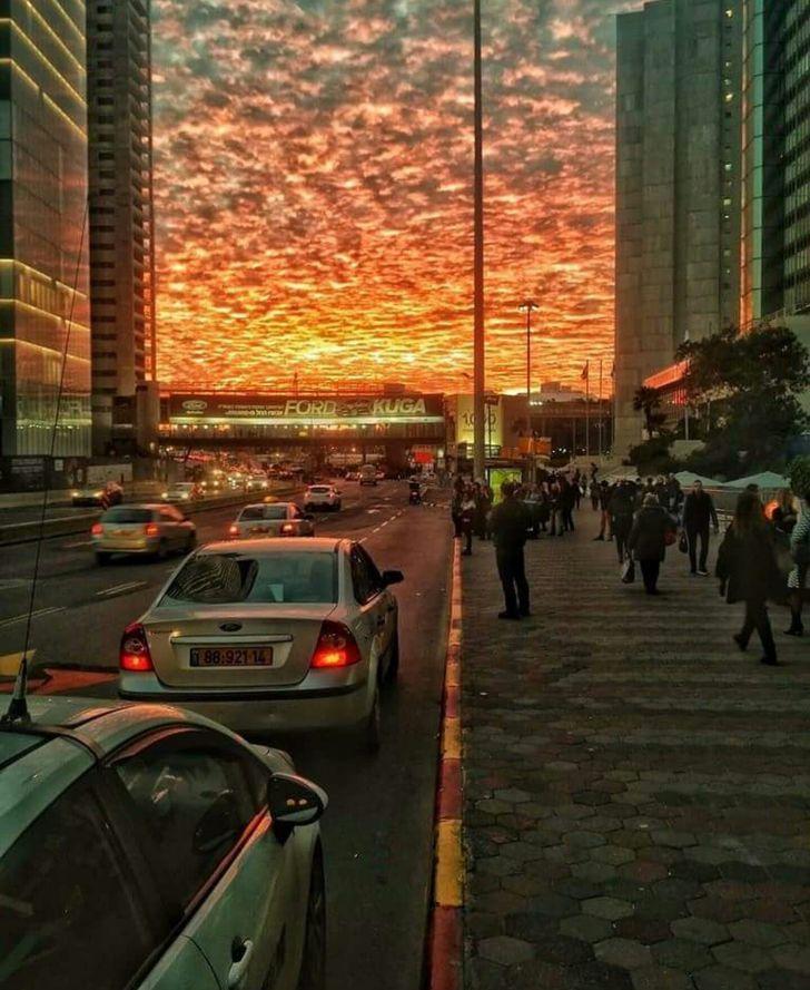 awesome pics and funny memes - apocalyptic sunset in tel aviv - Ford Kuga