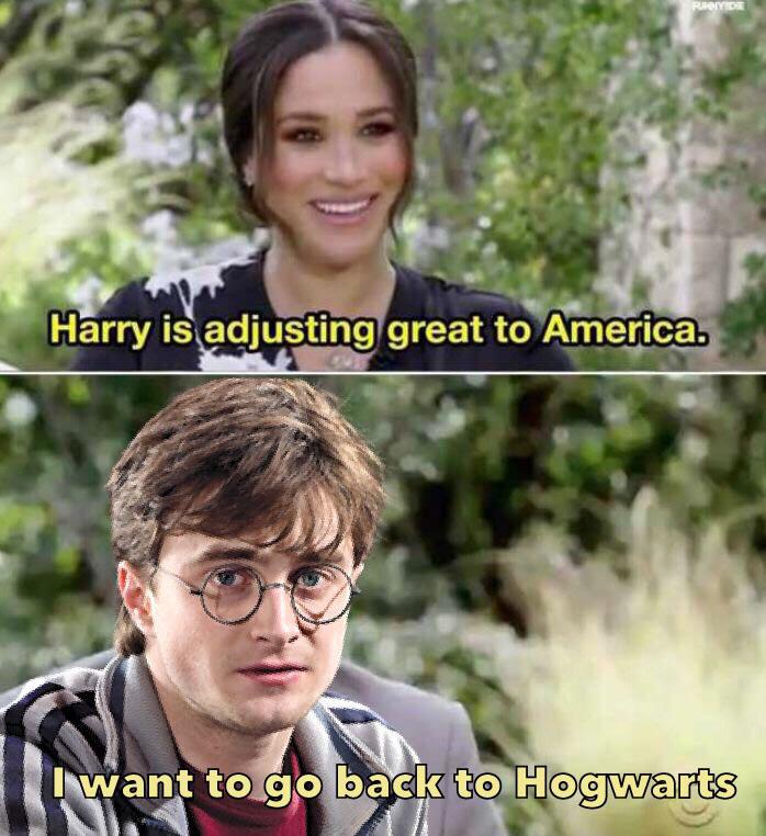 funny memes - Harry is adjusting great to America. - I want to go back to Hogwarts
