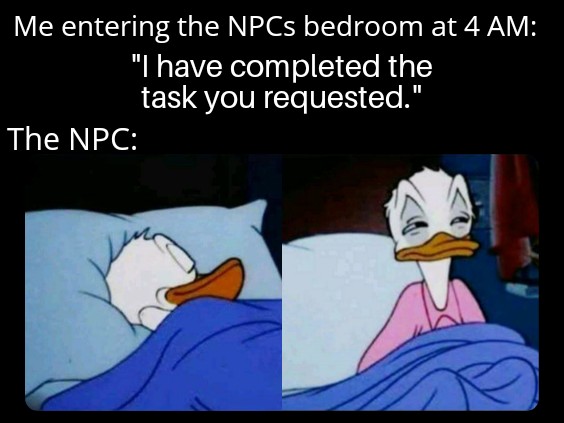 funny memes - Me entering the NPC's bedroom at 4 Am - I have completed the quest that you requested