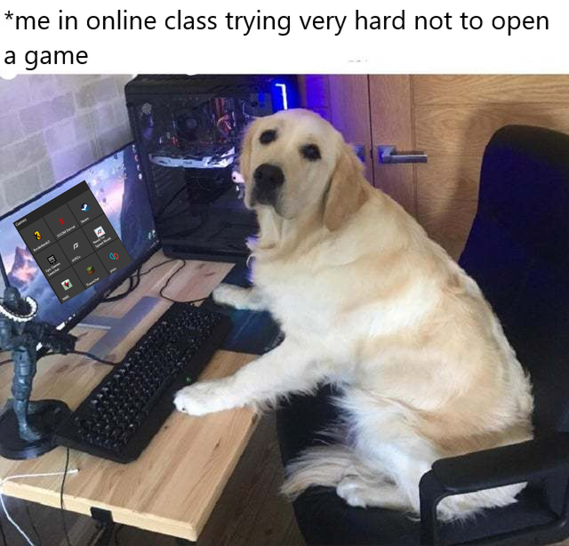 funny gaming memes - gaming doggo - me in online class trying very hard not to open a game