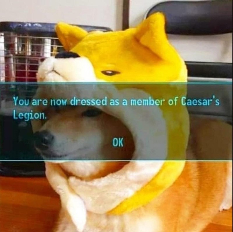 funny gaming memes - you are now dressed as a member - You are now dressed as a member of Caesar's Legion Ok