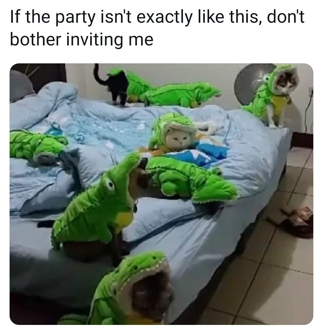 funny memes and random pics - photo caption - If the party isn't exactly this, don't bother inviting me