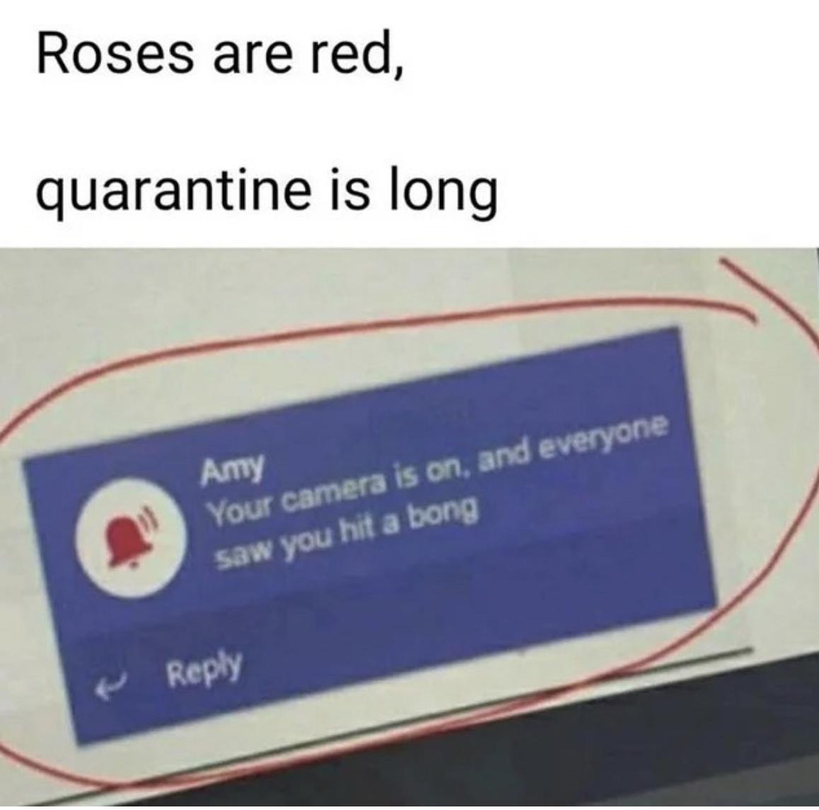 funny memes and random pics - number - Roses are red, quarantine is long Amy Your camera is on, and everyone saw you hit a bong Put
